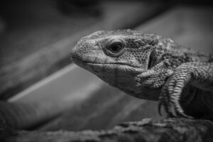 30代が転職をためらう理由はなぜか？