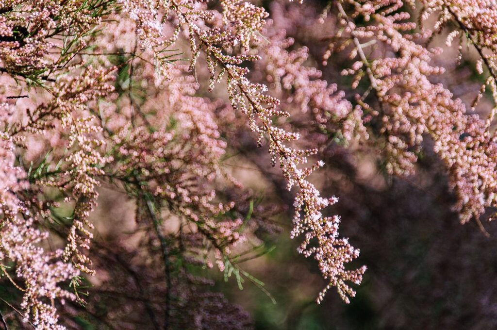 40代の転職で抱えるリスクと不安を解消する方法は？