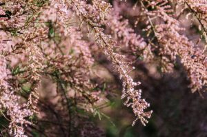 40代の転職で抱えるリスクと不安を解消する方法は？