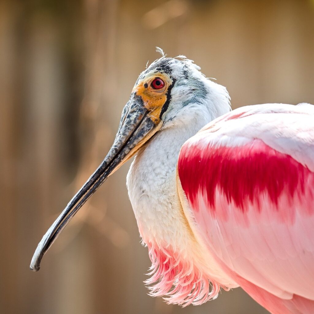 40代のための職務経歴書の書き方は？
