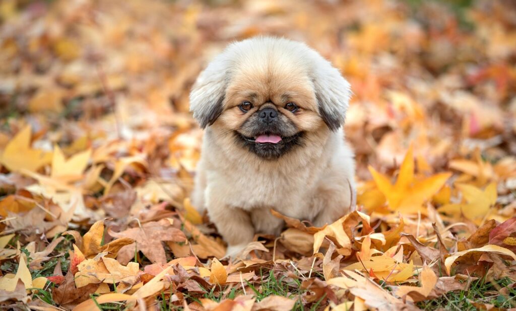 マイナビ転職を利用した40代の方の口コミとは？