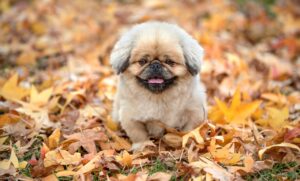 リクナビNEXTを利用した30代の評判はどうなのか？