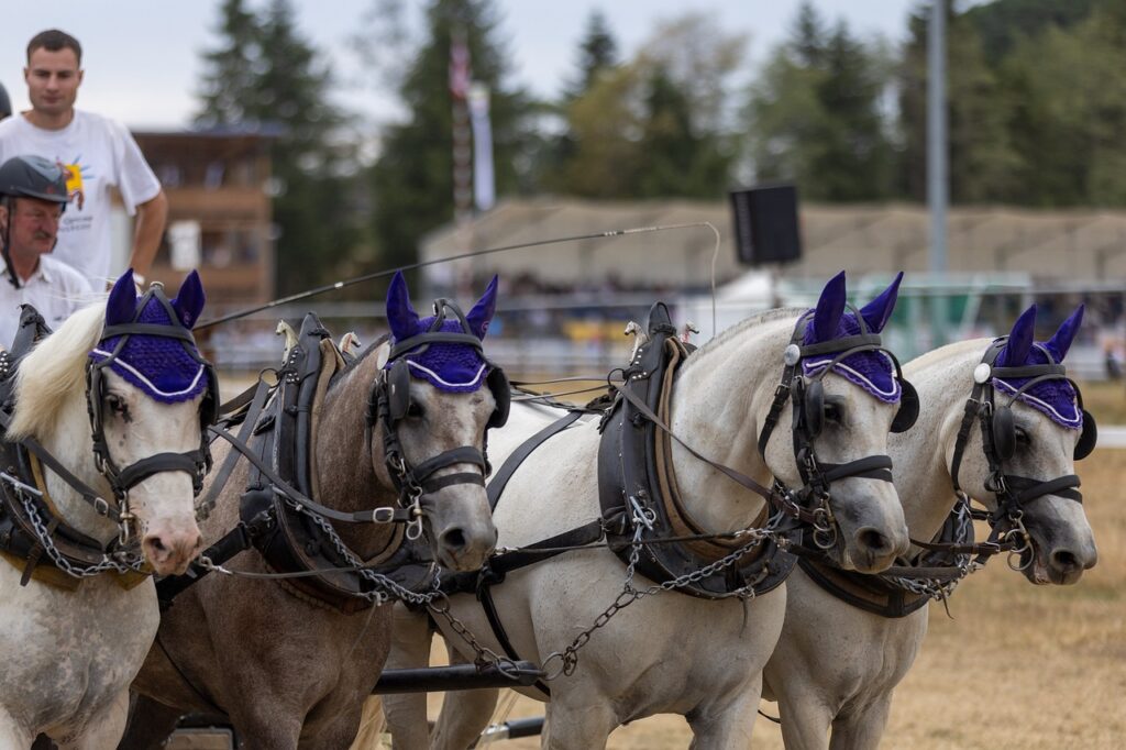 マネジメント職を目指すための志望理由とは？