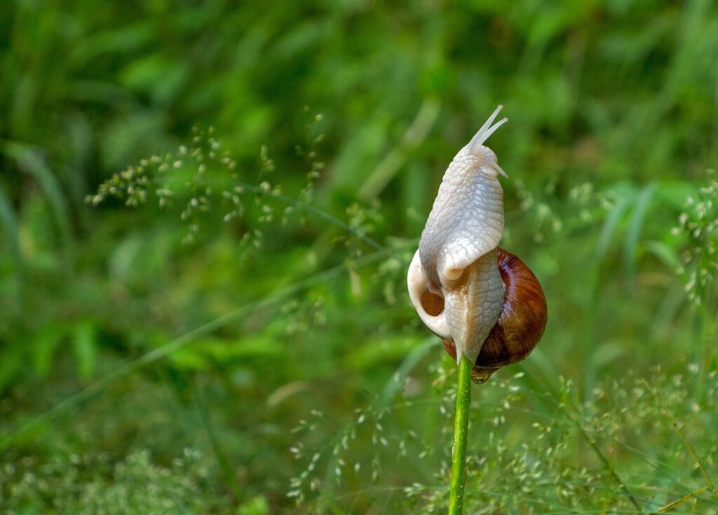 マネジメント職を志望する際の動機は何ですか？