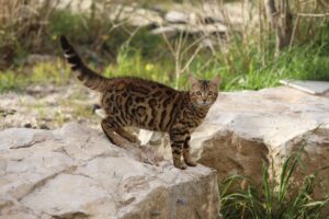 30代が転職で失敗しない方法とは？