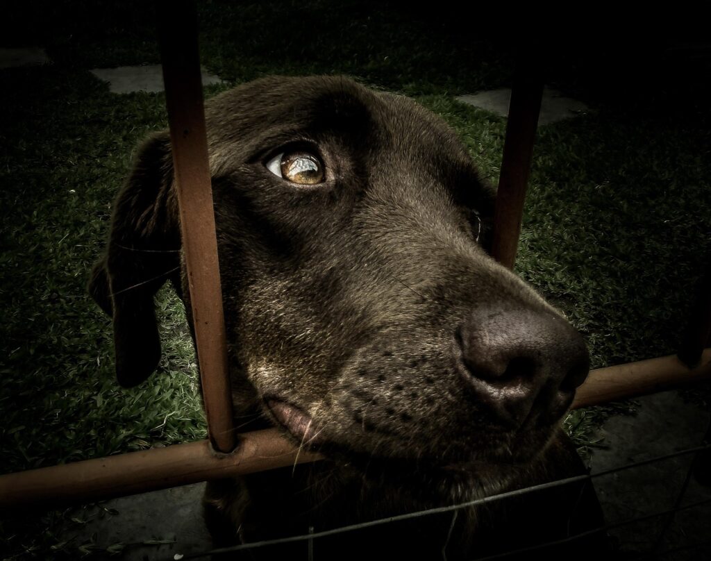 ミドル層のポテンシャル採用をどう狙うべきか？