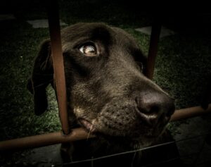 ミドル層のポテンシャル採用をどう狙うべきか？