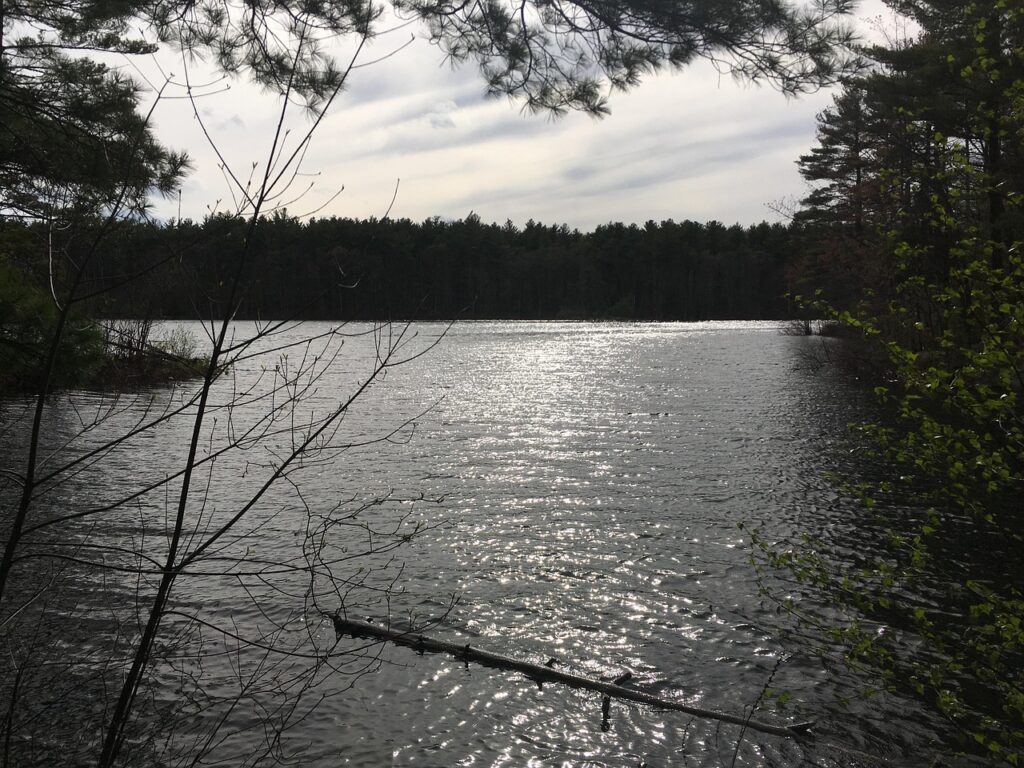 ミドル転職でキャリアアップを円満に実現する退職方法は？