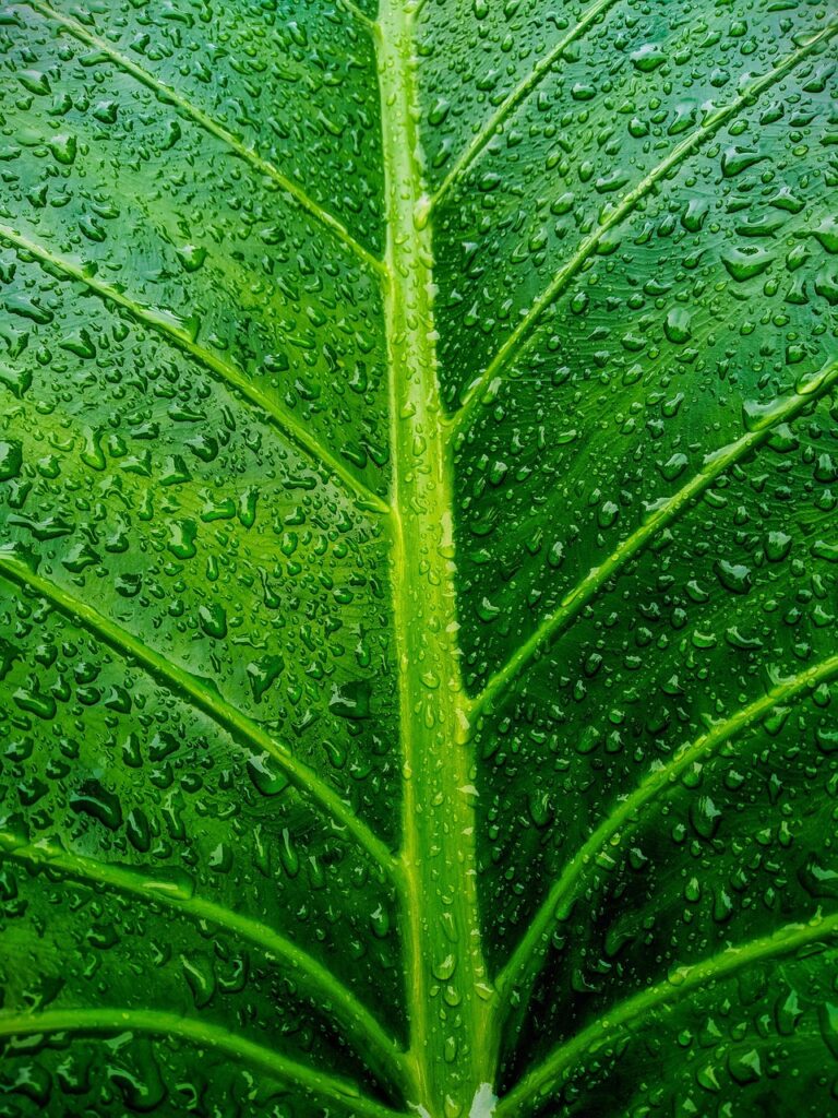 ミドル転職でエージェントを使うべき理由とは？